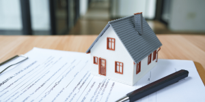 Why Real Estate Support Matters for Renters, Owners, and Businesses